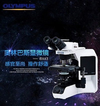 BX43 生物显微镜