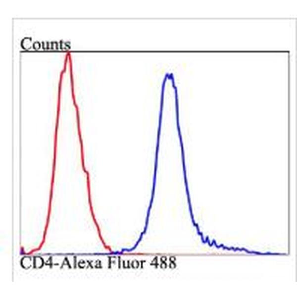 Anti-CD4 antibody