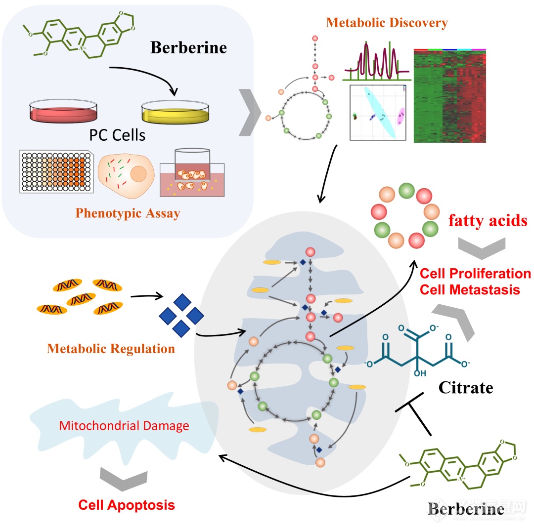 上海交大吕海涛团队发表细胞代谢组学研究最新成果快速表征与评价天然