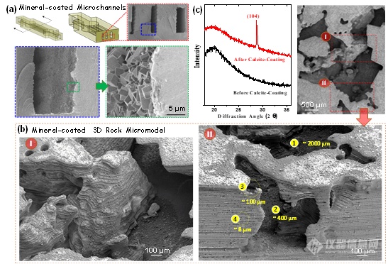 《Soft Matter》：利用微尺度3D打印和矿物涂层技术助力功能性微流控研究