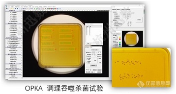 迅数发布迅数HD5000 多谱超分辨菌落成像系统新品