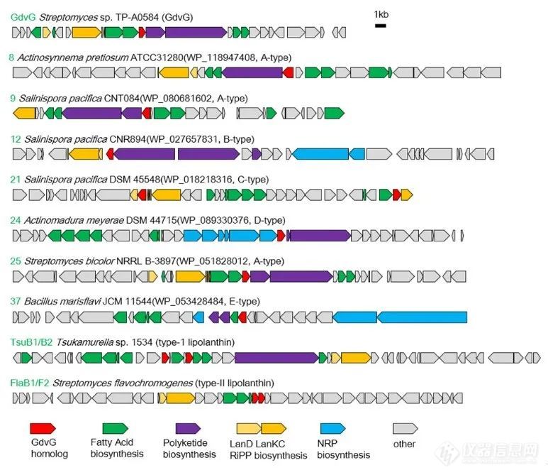 东京大学与岛津制作所田中耕一团队研究成果在Nature Chemistry发表