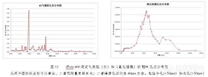 杨正红：氮吸附仪表征药物超低比表面积的技术突破