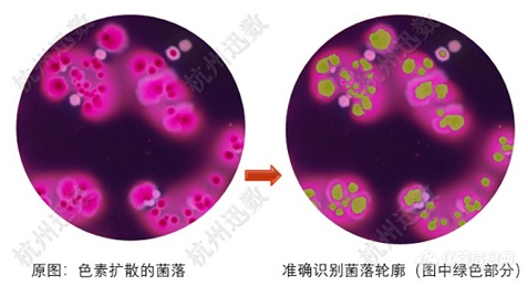 迅数发布迅数HD5000 多谱超分辨菌落成像系统新品