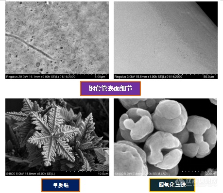 扫描电镜不适合测磁性材料吗？——安徽大学林中清33载经验谈（11）