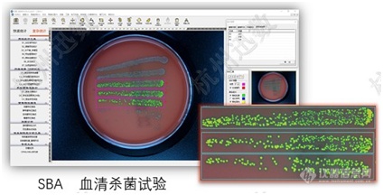 迅数发布迅数HD5000 多谱超分辨菌落成像系统新品