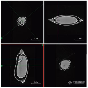 原来你是这样的稻米！