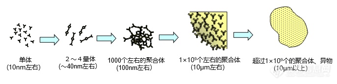 揭秘岛津生物药聚集体粒子表征的创新之道