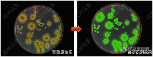 迅数发布迅数HD5000 多谱超分辨菌落成像系统新品