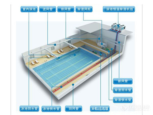 泳池热泵除湿机