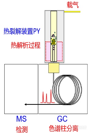 您对热裂解Py-GCMS技术了解吗？