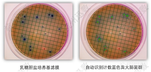 迅数发布迅数HD5000 多谱超分辨菌落成像系统新品