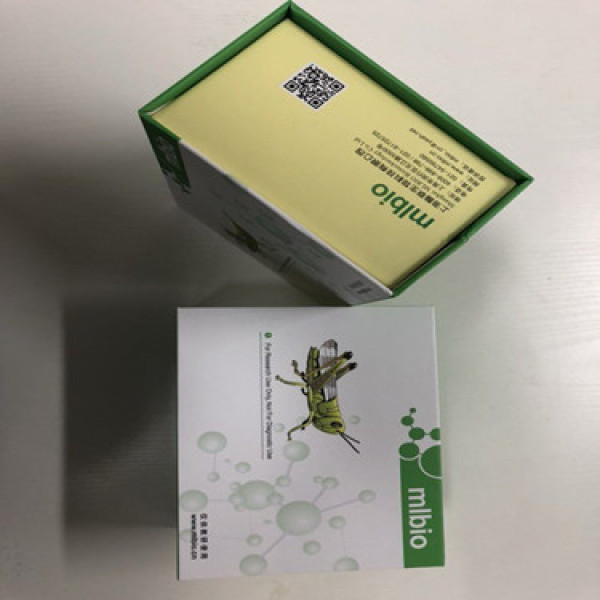 酶联文献G组着色性干皮病偶联因子(XPG)原装Elisa试剂盒