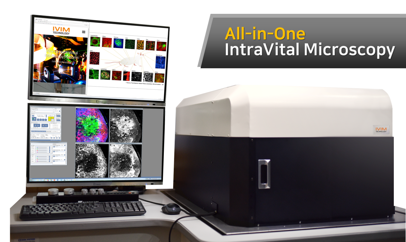 IVIM小动物活体原位细胞动态分析成像系统