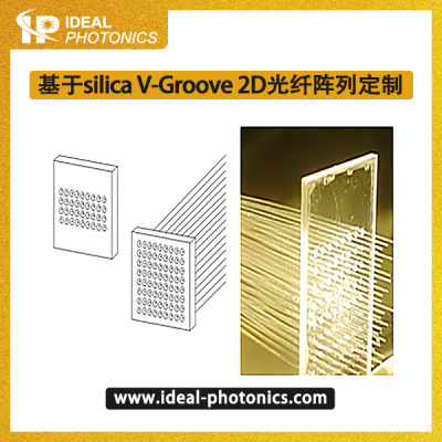 基于silica V-Groove 2D光纤阵列定制