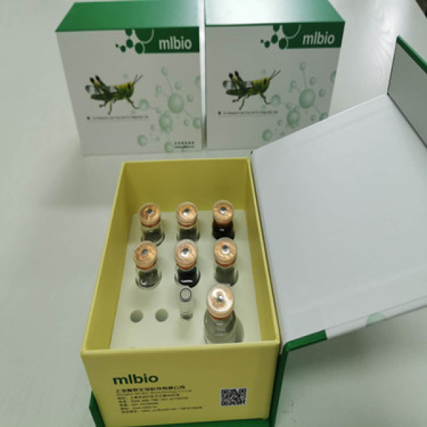 厂家酶联提供蛋白二硫化物异构酶A3(PDIA3)Elisa Kit