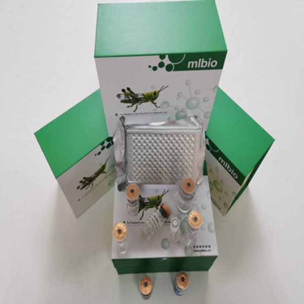主要组织相容性复合体Ⅰ类(MHCⅠ/HLAⅠ)Elisa试剂盒