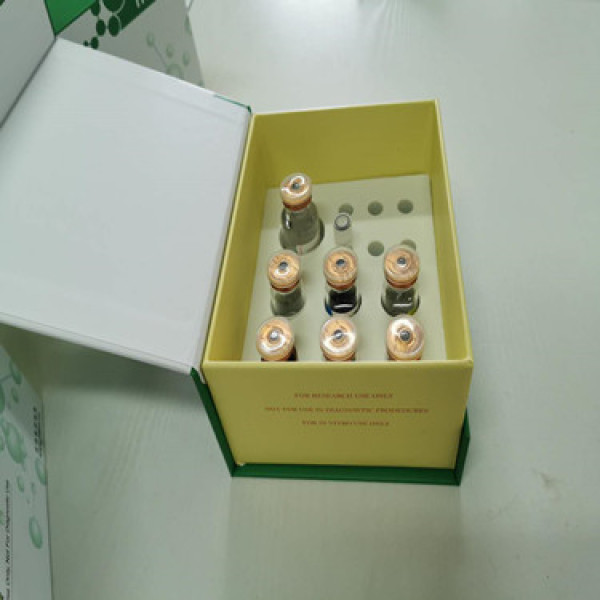 视锥蛋白样蛋白1(VSNL1)Elisa定量检测试剂盒（酶联种属全）