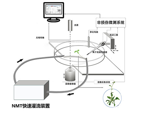 NMT自动灌流系统