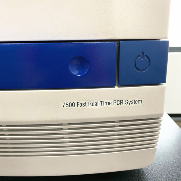 ABI 7500实时荧光定量PCR