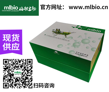 上海酶联供应有丝分裂原活化蛋白激酶14(MAPK14)Elisa试剂盒