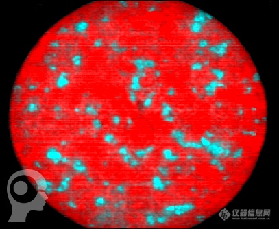 5-aspirin_hyperspectral_cci_wm.png