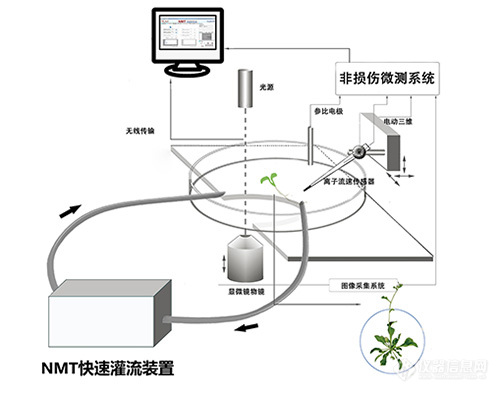 原理图——灌流装置-500.jpg