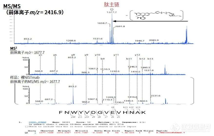 MALDImini-1数字离子阱质谱仪分析化学修饰抗体的化学修饰位点