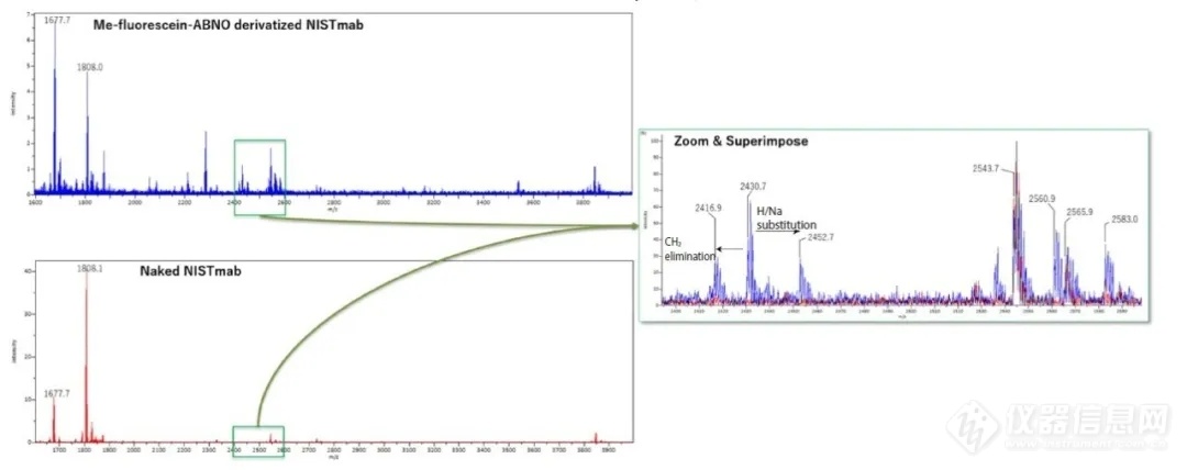 MALDImini-1数字离子阱质谱仪分析化学修饰抗体的化学修饰位点