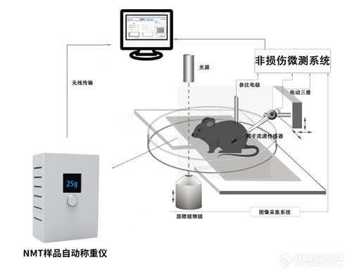 原理图——NMT样品自动称重仪-500.jpg