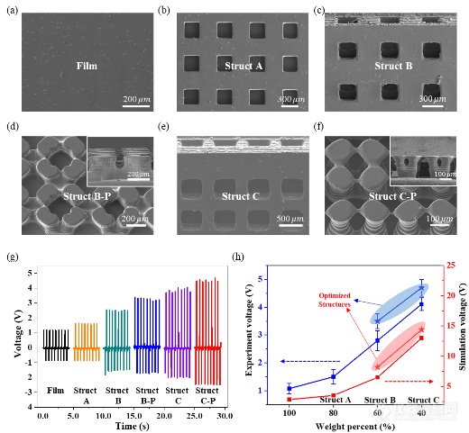 Nano Energy：基于面投影微立体光刻3D打印技术的共形压电传感器设计与制造