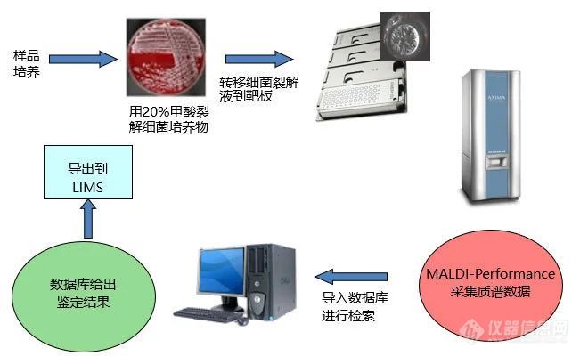 MALDI-TOF应用 | 指尖上的食源性病原体鉴定