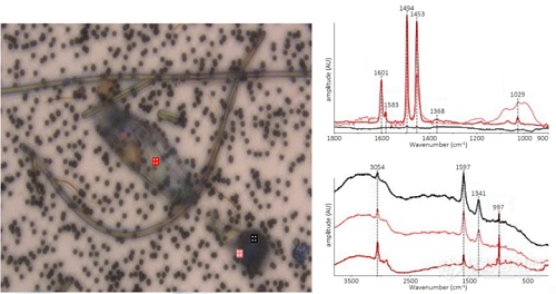 亚微米红外新技术受到BTV关注，再聚焦微塑料监测核心难题！