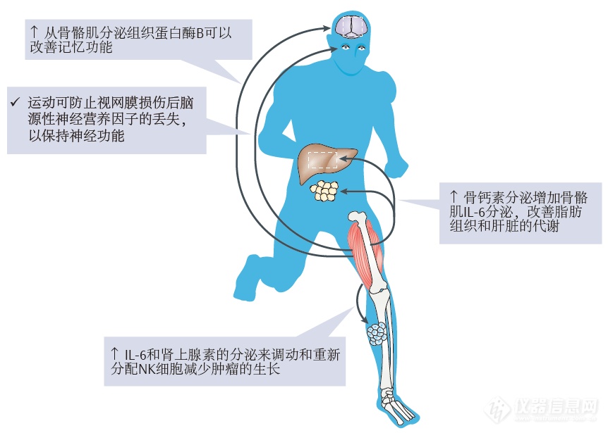 2.运动学研究.png