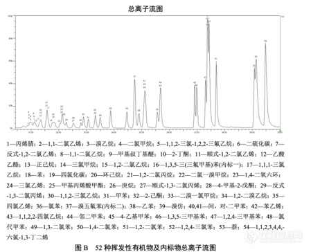 走航案例 总离子流图 .png