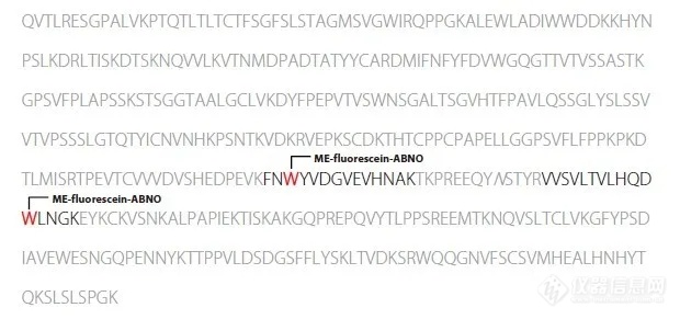 MALDImini-1数字离子阱质谱仪分析化学修饰抗体的化学修饰位点