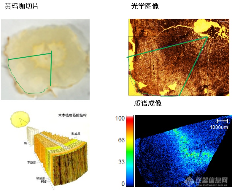 中药研究系列专题——中药材鉴定及溯源