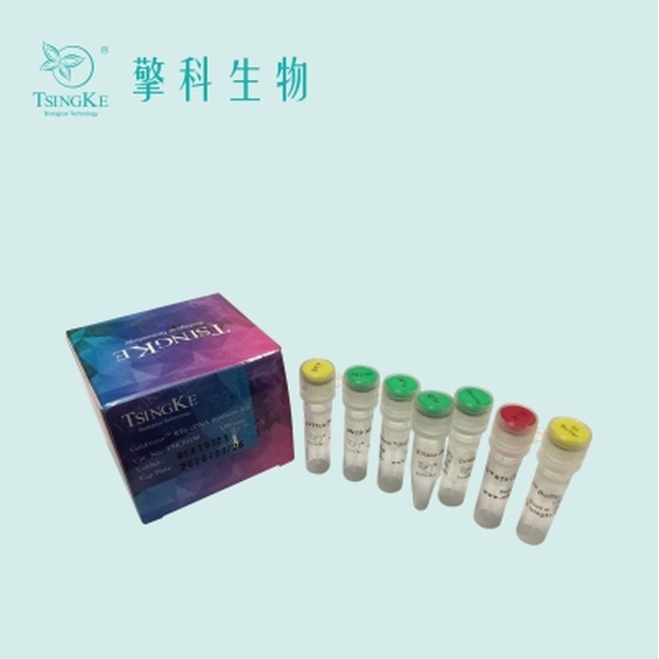 Goldenstar™ RT6 cDNA Synthesis Kit