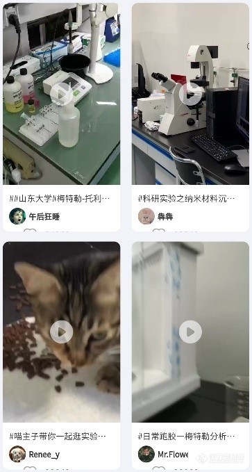 参赛人次超千！梅特勒-托利多超级品牌日顺利结束