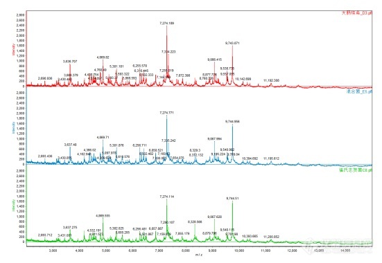 大肠埃希菌、福氏志贺菌以及混合菌的质谱图.jpg