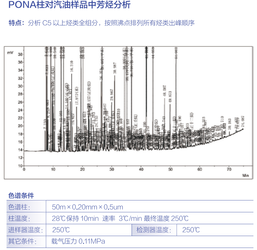  PONA柱及其对汽油样品中芳烃分析 其他气相专用柱