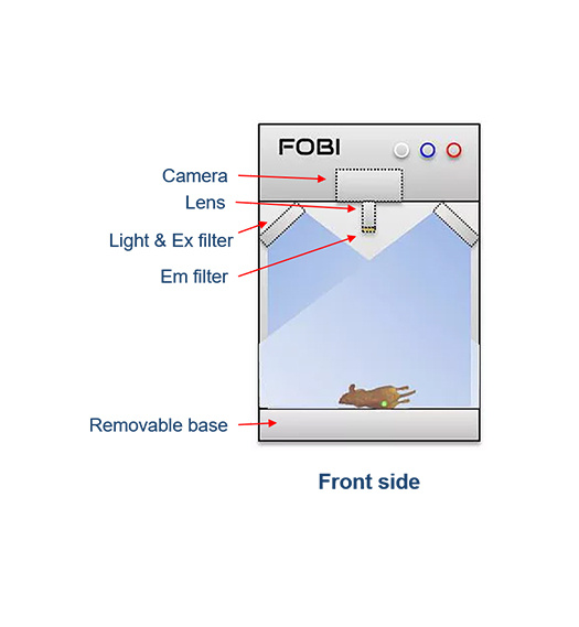 FOBI整体荧光成像系统，小动物活体成像系统