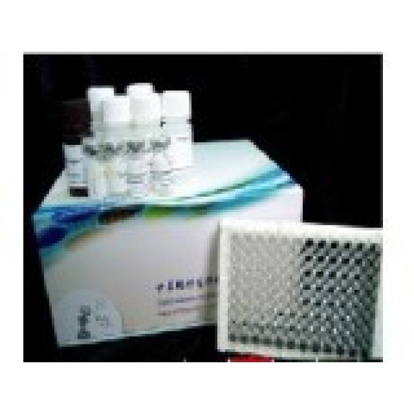 大鼠谷氨酸(GLU)ELISA试剂盒