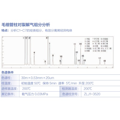  毛细管柱对裂解气组分分析 其他气相专用柱