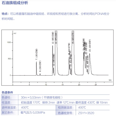  石油族组成分析 其他气相专用柱