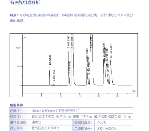  石油族组成分析 其他气相专用柱