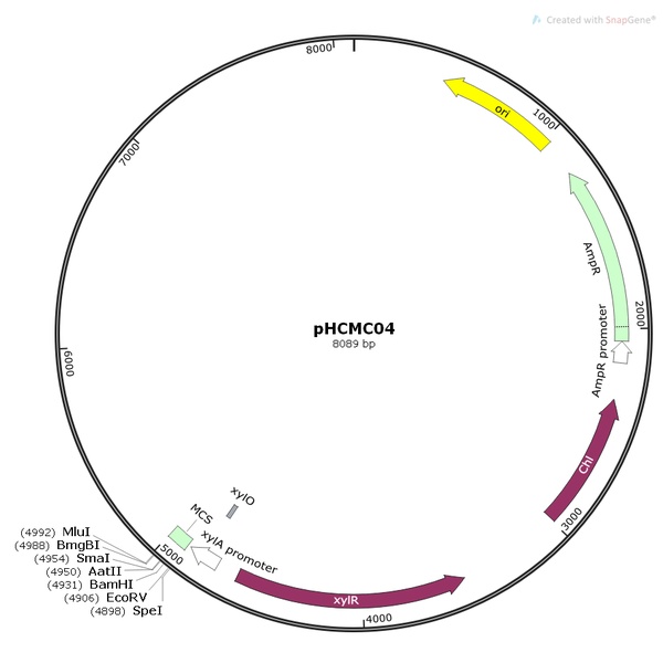 pHCMC04枯草木糖诱导质粒