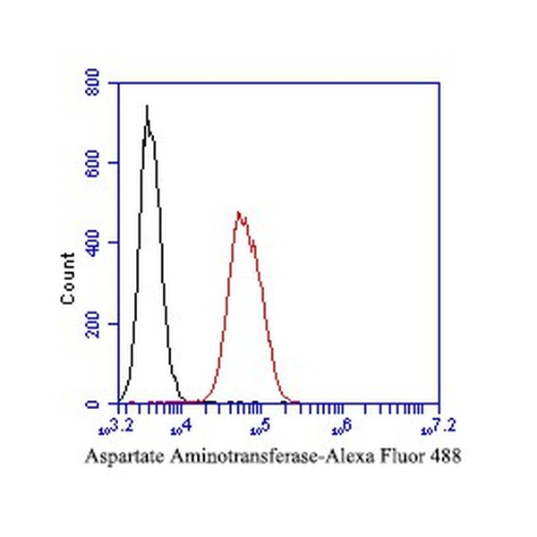 Anti-Aspartate Aminotransferase antibody