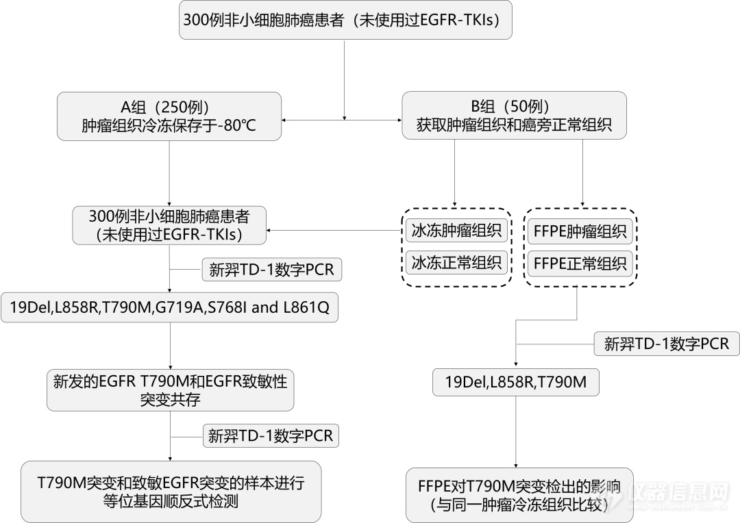 新羿数字PCR：非小细胞肺癌原发EGFR T790M突变检测研究