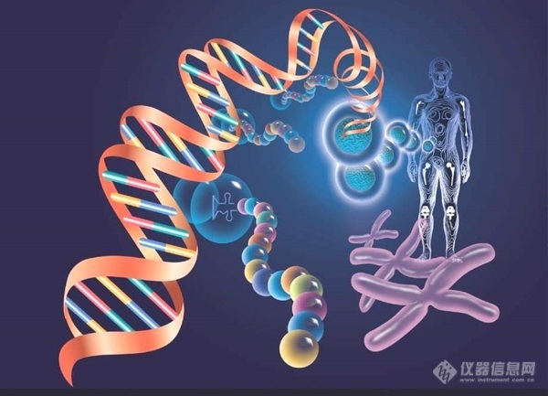 超微量分光光度计在核酸定量和分析中的应用